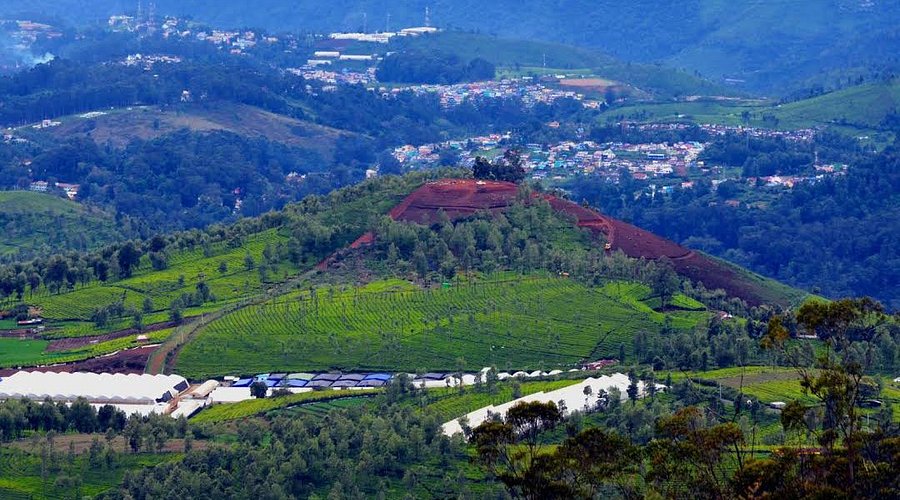 Doddabetta Peak in Ooty
